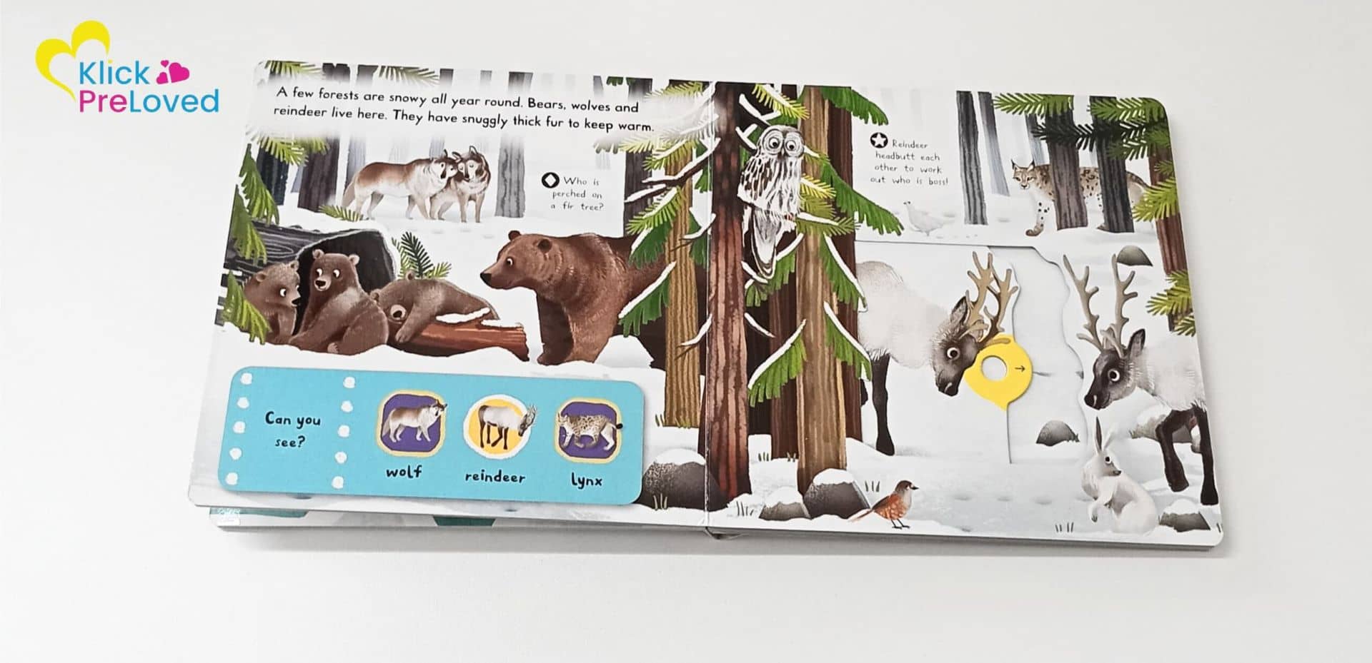 PreLoved Snowy Animals - Campbell Books (Gently Used) - Image 3